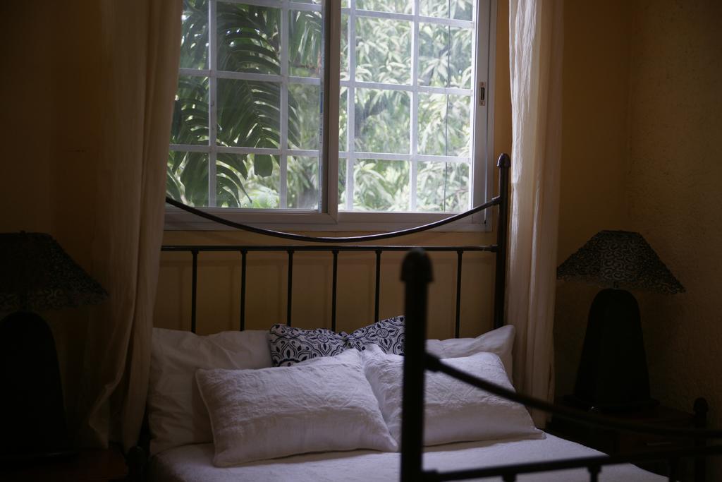 Corail Suites Jacquet Bilik gambar